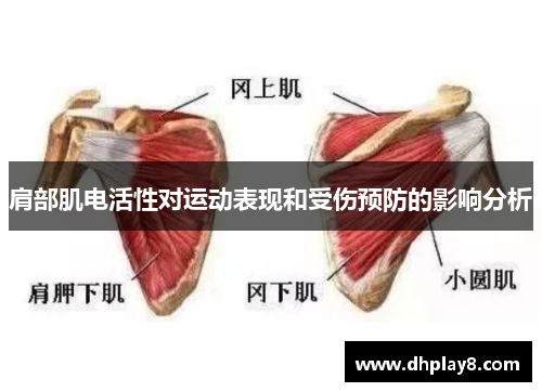 肩部肌电活性对运动表现和受伤预防的影响分析